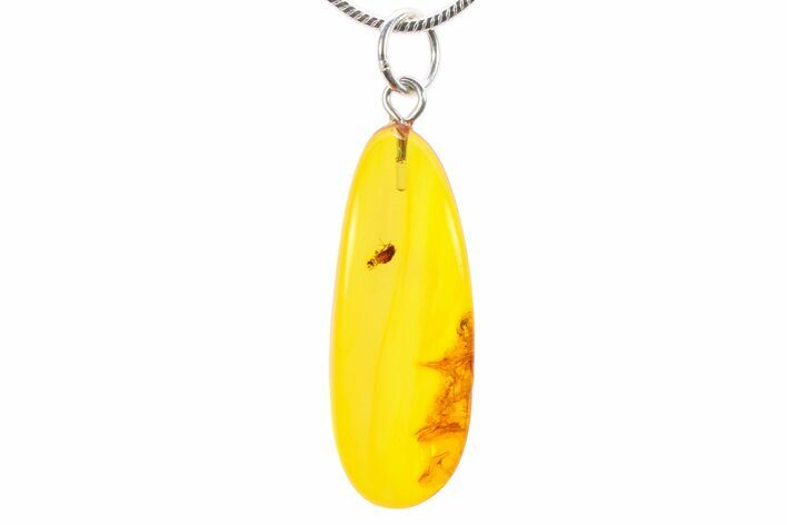 Polished Baltic Amber Pendant (Necklace) - Contains Insect! #270752